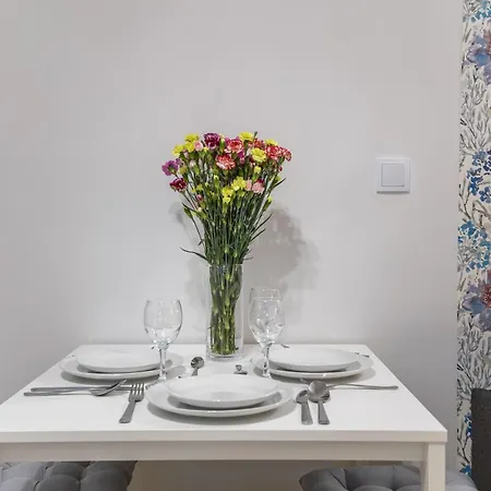 Cracow S31 Apartment *